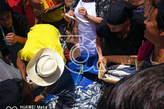 Melenara rememora el chinchorro y la varada del pescado (Foto TA)